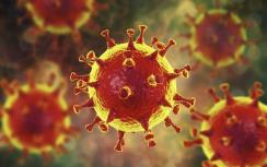 Afbeelding bij artikel Column: waarom ik de pest heb aan het coronavirus