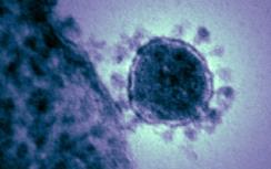 Afbeelding bij artikel Beurzen Vandaag: lagere koersen door coronavirus, koopadvies IMCD