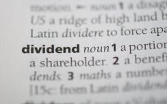 Afbeelding bij artikel Hoe belangrijk is het dividend bij beleggen?