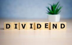 Afbeelding bij artikel Blik op dividend | Stortvloed aan dividendaankondigingen